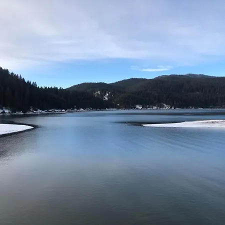 орфей